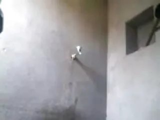 ज़ोइ फॉक्सक्स सेक्सी मूवी फुल सेक्सी मूवी निगल जाता है