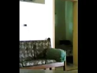 विक्टोरिया स्टार्क ने सार्वजनिक शौचालय बीएफ सेक्सी मूवी फुल एचडी में पंखे से चुदाई की