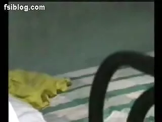 सेक्सी अयान नैनज़ी इंग्लिश सेक्स मूवी इंग्लिश सेक्स 4-पैक पैक्सों द्वारा