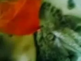 मोटा जिप्सी वीडियो सेक्सी हिंदी मूवी दादी टॉपलेस